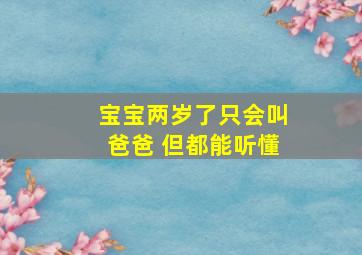 宝宝两岁了只会叫爸爸 但都能听懂